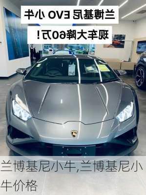 兰博基尼小牛,兰博基尼小牛价格