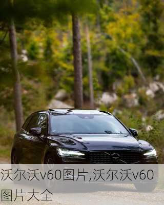 沃尔沃v60图片,沃尔沃v60图片大全