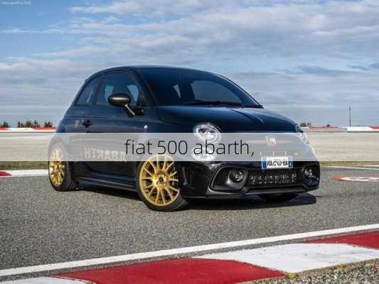 fiat 500 abarth,