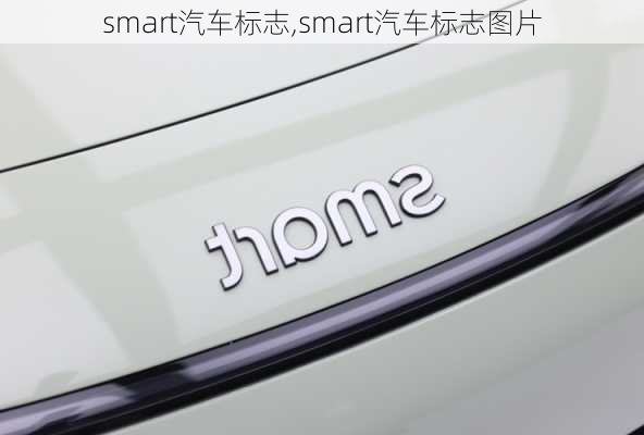 smart汽车标志,smart汽车标志图片