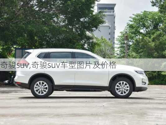 奇骏suv,奇骏suv车型图片及价格