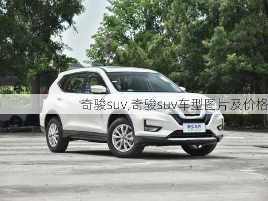 奇骏suv,奇骏suv车型图片及价格