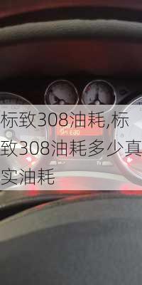 标致308油耗,标致308油耗多少真实油耗