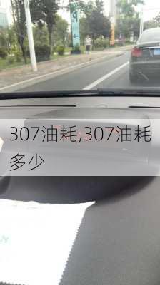 307油耗,307油耗多少