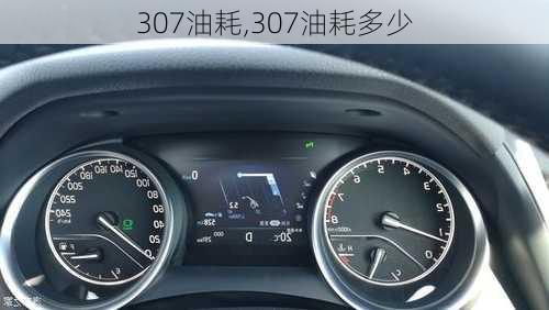 307油耗,307油耗多少