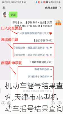 机动车摇号结果查询,天津市小型机动车摇号结果查询