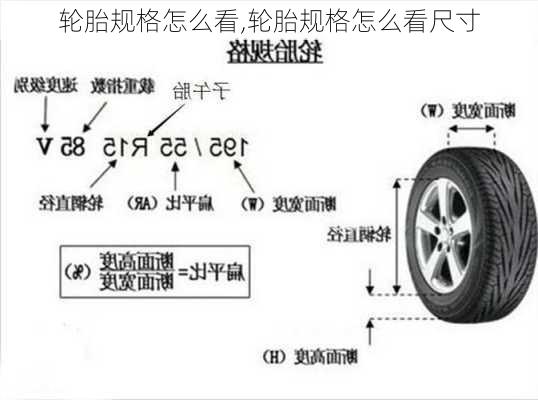 轮胎规格怎么看,轮胎规格怎么看尺寸