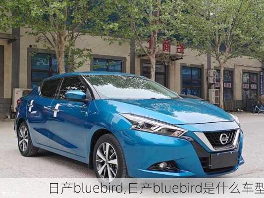 日产bluebird,日产bluebird是什么车型