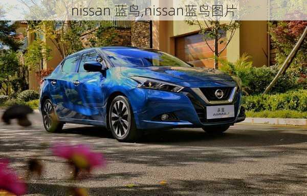 nissan 蓝鸟,nissan蓝鸟图片