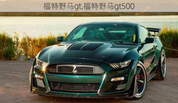 福特野马gt,福特野马gt500