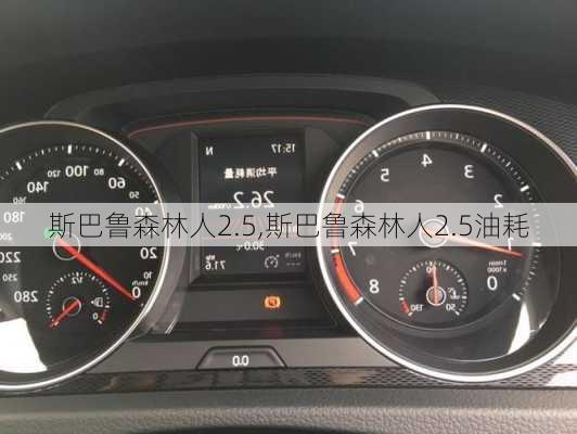 斯巴鲁森林人2.5,斯巴鲁森林人2.5油耗