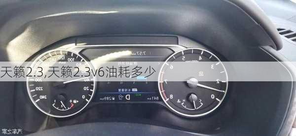 天籁2.3,天籁2.3v6油耗多少