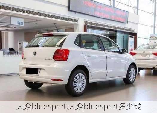 大众bluesport,大众bluesport多少钱