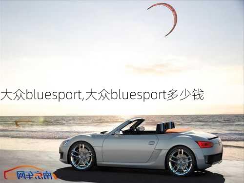 大众bluesport,大众bluesport多少钱