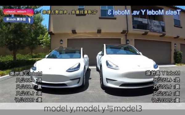 model y,model y与model3