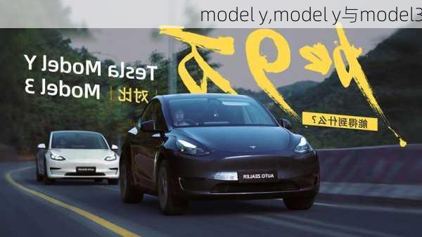 model y,model y与model3