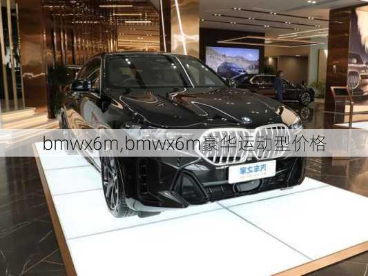 bmwx6m,bmwx6m豪华运动型价格