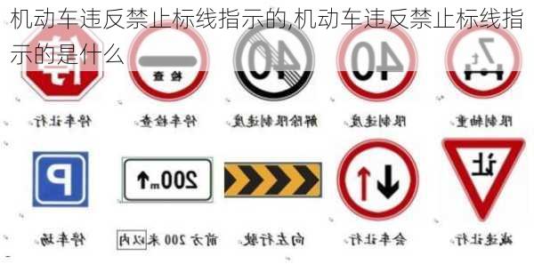 机动车违反禁止标线指示的,机动车违反禁止标线指示的是什么