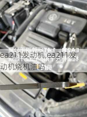 ea211发动机,ea211发动机烧机油吗