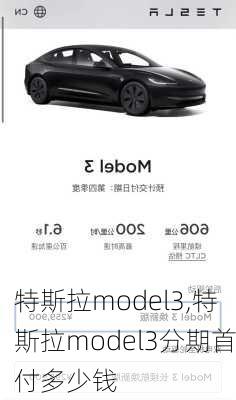 特斯拉model3,特斯拉model3分期首付多少钱