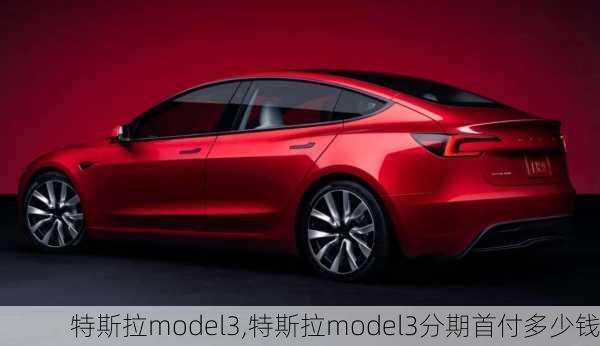 特斯拉model3,特斯拉model3分期首付多少钱