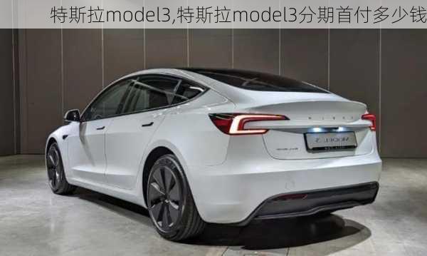 特斯拉model3,特斯拉model3分期首付多少钱