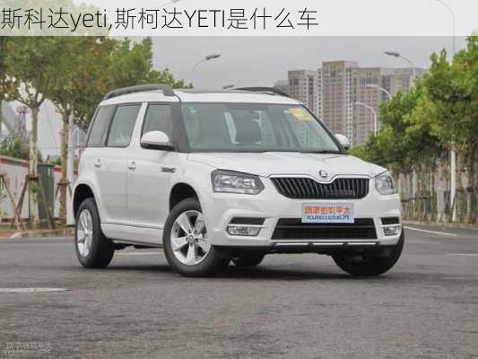 斯科达yeti,斯柯达YETI是什么车