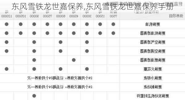 东风雪铁龙世嘉保养,东风雪铁龙世嘉保养手册