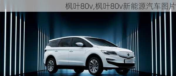 枫叶80v,枫叶80v新能源汽车图片