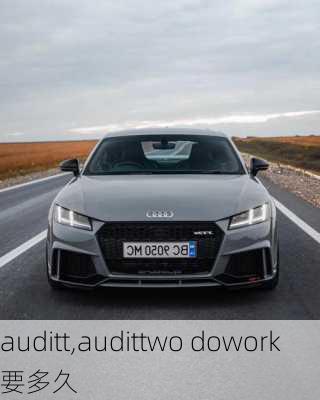 auditt,audittwo dowork要多久