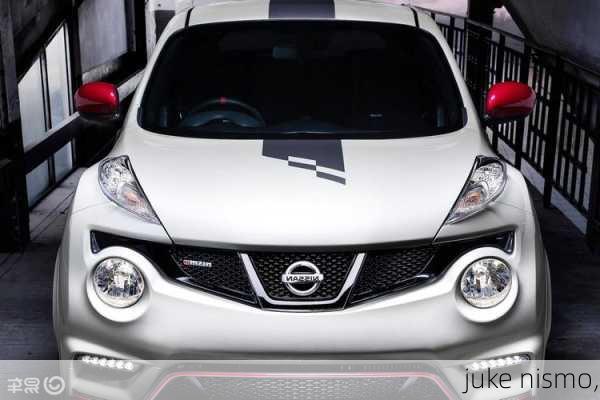 juke nismo,