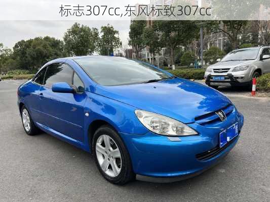 标志307cc,东风标致307cc