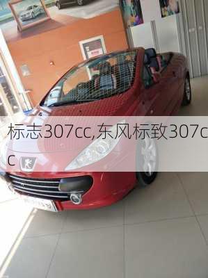 标志307cc,东风标致307cc