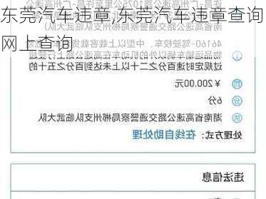 东莞汽车违章,东莞汽车违章查询网上查询