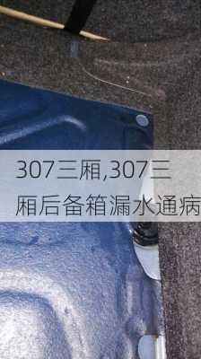 307三厢,307三厢后备箱漏水通病