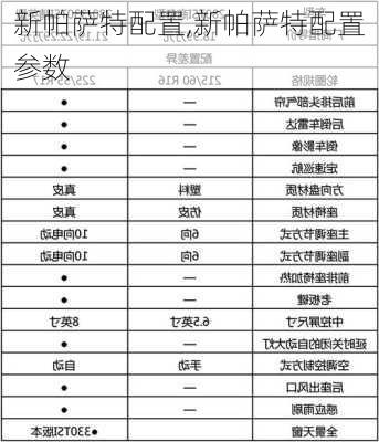 新帕萨特配置,新帕萨特配置参数