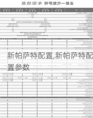 新帕萨特配置,新帕萨特配置参数