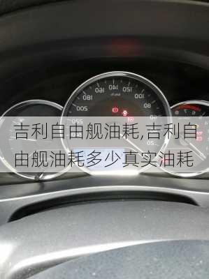 吉利自由舰油耗,吉利自由舰油耗多少真实油耗