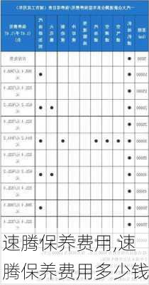 速腾保养费用,速腾保养费用多少钱