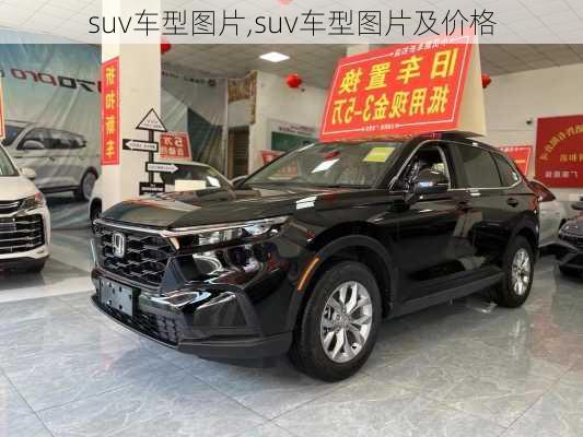 suv车型图片,suv车型图片及价格