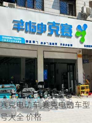 赛克电动车,赛克电动车型号大全 价格