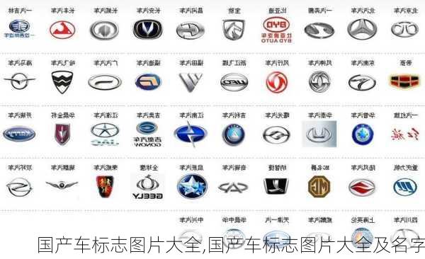 国产车标志图片大全,国产车标志图片大全及名字