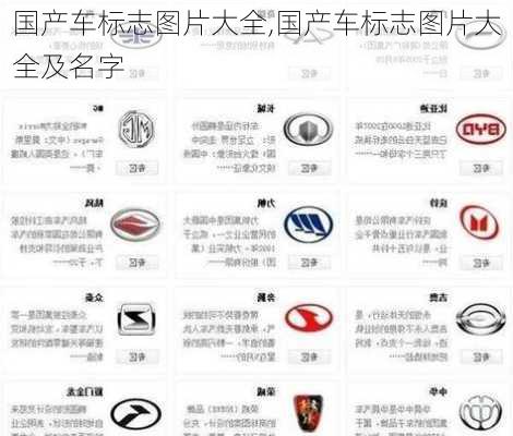 国产车标志图片大全,国产车标志图片大全及名字