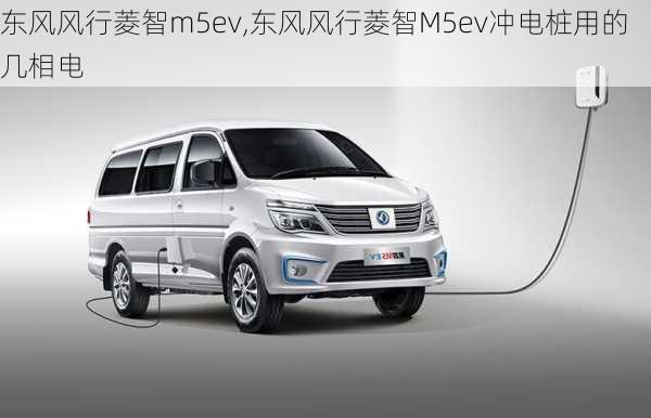 东风风行菱智m5ev,东风风行菱智M5ev冲电桩用的几相电