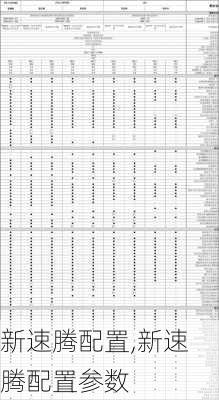 新速腾配置,新速腾配置参数