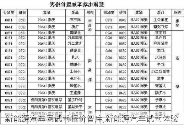 新能源汽车网试驾报价智库,新能源汽车试驾体验