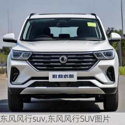 东风风行suv,东风风行SUV图片