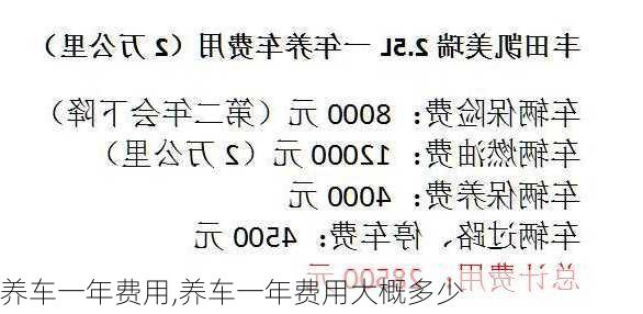 养车一年费用,养车一年费用大概多少