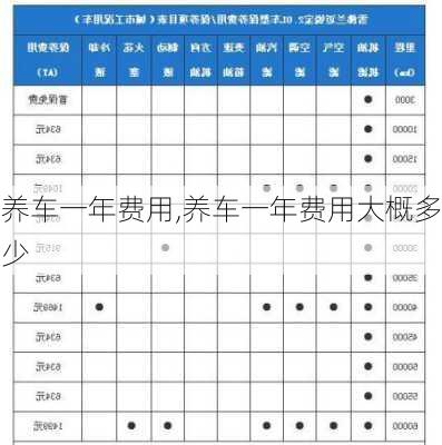 养车一年费用,养车一年费用大概多少