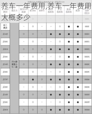 养车一年费用,养车一年费用大概多少